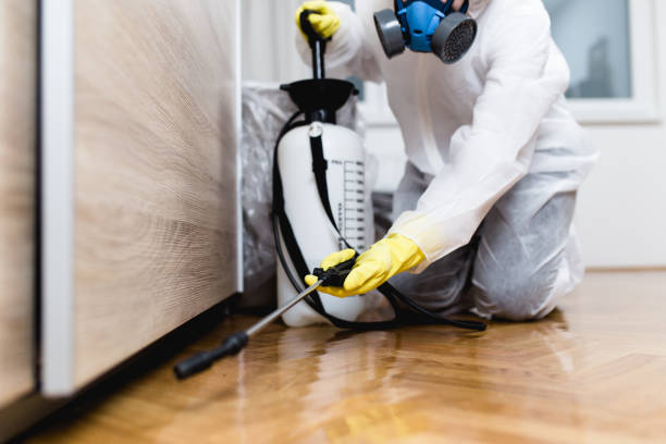 Best Affordable Pest Control Services  in Galesburg, IL