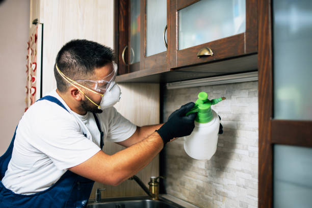 Best Bed Bug Extermination  in Galesburg, IL