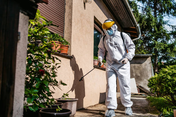 Pest Prevention Services in Galesburg, IL