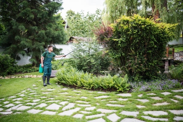 Professional Pest Control in Galesburg, IL