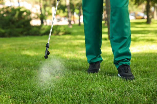 Best Emergency Pest Control  in Galesburg, IL